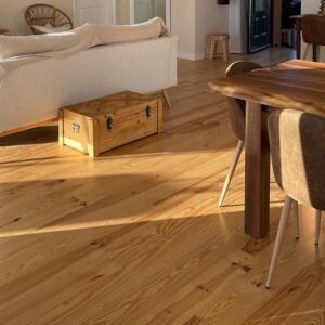 Intérieur lumineux : salon avec canapé clair, coffre en bois, et salle à manger avec table en bois massif. Parquet ensoleillé.