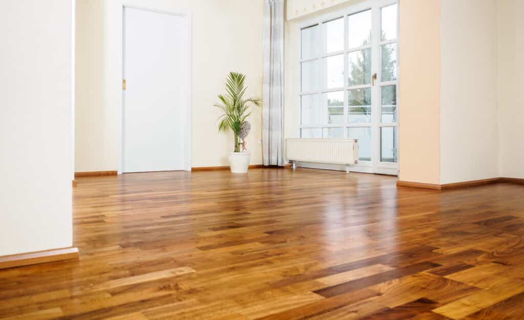Pièce vide lumineuse avec parquet bois clair, murs beige, grande fenêtre, radiateur, porte blanche et plante décorative.