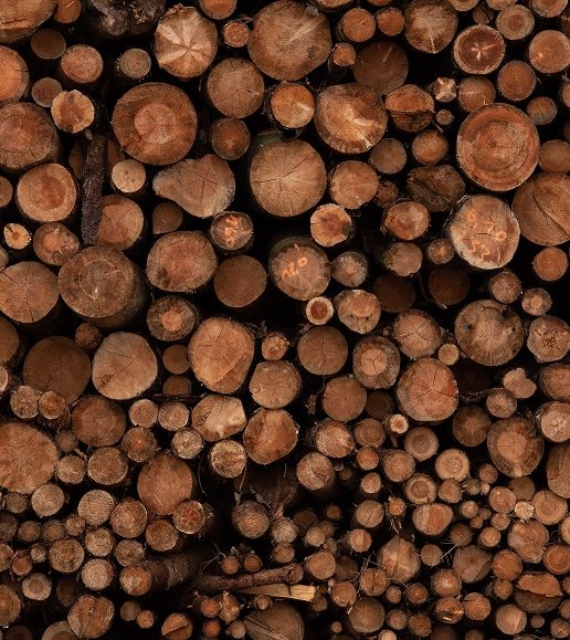 Pile dense de rondins de bois coupés, empilés. Texture naturelle du bois brun-orangé et anneaux visibles. Quelques bûches portent des numéros peints en orange.