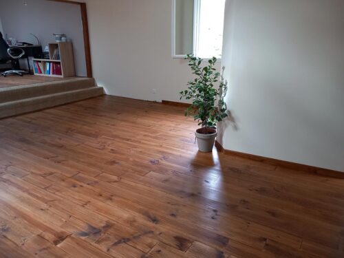 Pièce lumineuse avec plancher en bois ciré, escalier moquetté menant à un bureau et plante verte près d'une fenêtre.